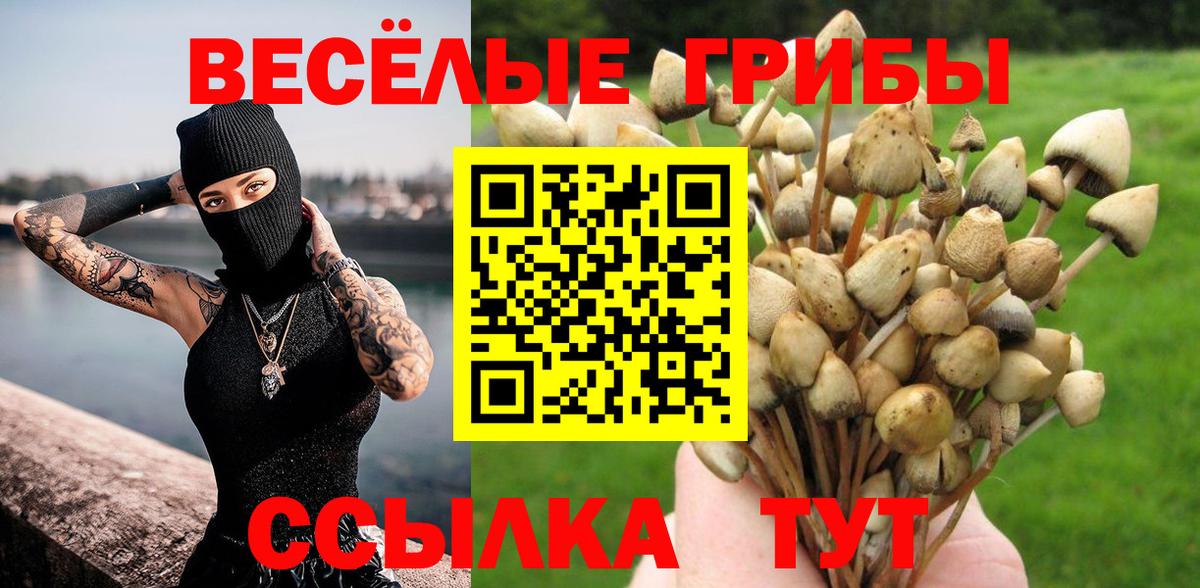 Псилоцибиновые грибы мухоморы Камышлов