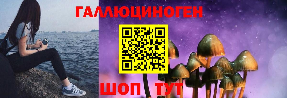 Камышлов  Галлюциногенные грибы Cubensis  Вход с VPN 